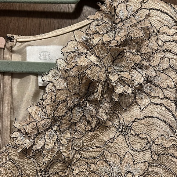 Banana Republic Champagne Metallic Lace Style Dress w Black Waistband Size 10 - Picture 4 of 10